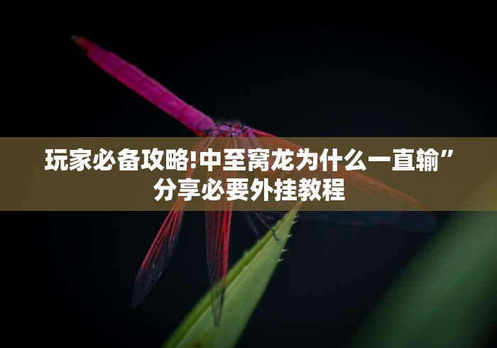 知识教程!小南四川长牌辅助工具”其实有开挂插件!