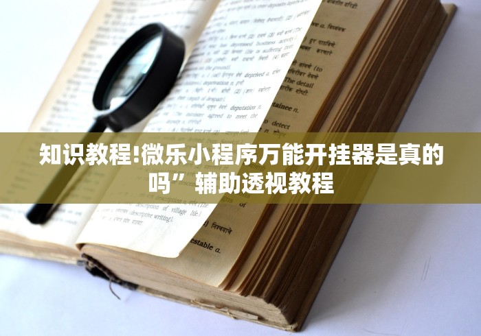 推荐一款“熊猫竞技有没有挂”辅助透视教程