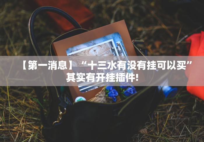 【第一消息】“十三水有没有挂可以买”其实有开挂插件!