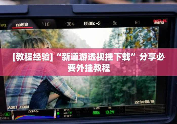 [教程经验]“新道游透视挂下载”分享必要外挂教程