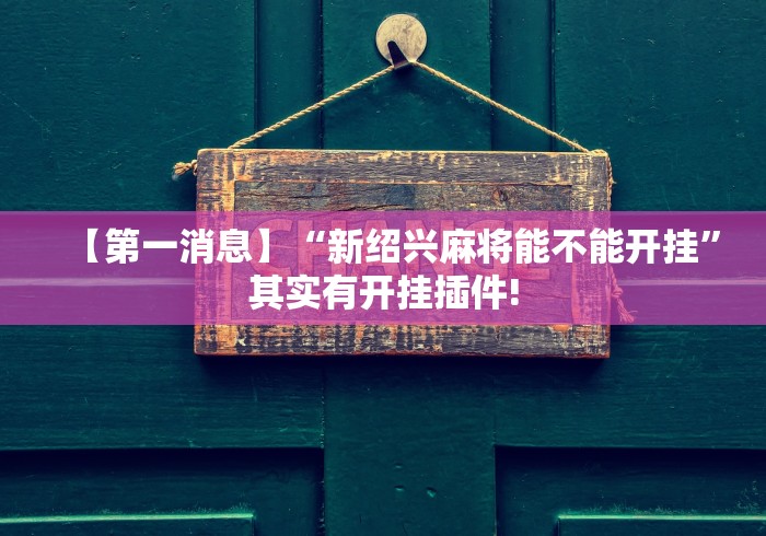 【第一消息】“新绍兴麻将能不能开挂”其实有开挂插件!