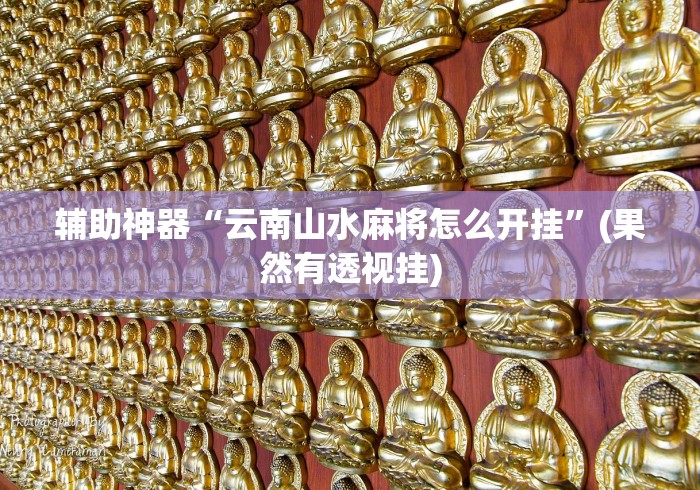 给牌友讲解“窝窝麻将有没有挂”开挂辅助详细步骤
