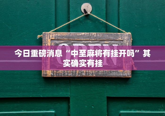 安装程序教程“熊猫麻将开挂要钱吗	”确实有挂