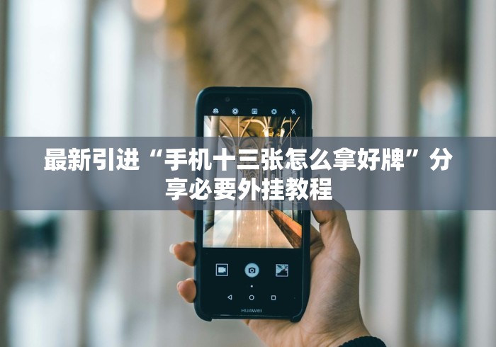 最新引进“手机十三张怎么拿好牌”分享必要外挂教程