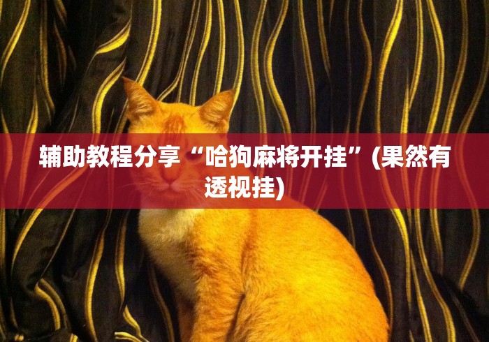 分享干货“同城游比鸡有挂吗”详细分享装挂步骤教程