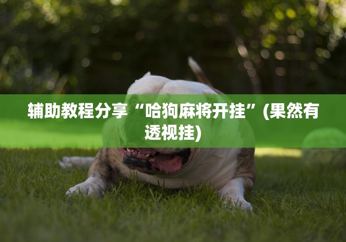 辅助教程分享“胡乐晋中麻将能开挂	”确实有挂