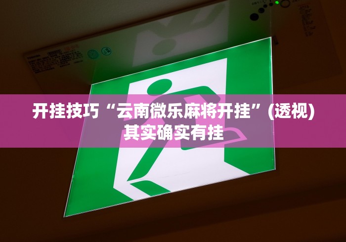 开挂技巧“云南微乐麻将开挂”(透视)其实确实有挂