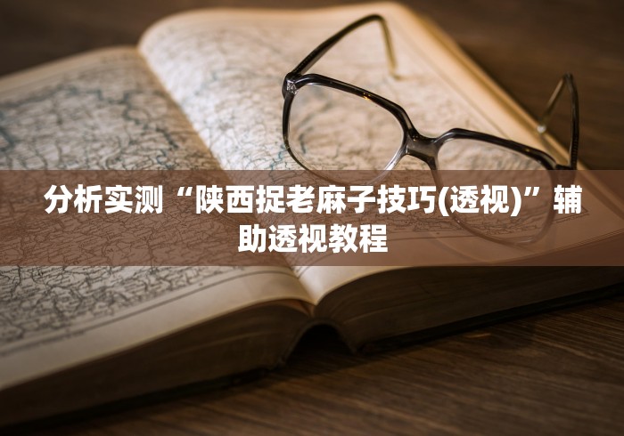 分析实测“陕西捉老麻子技巧(透视)”辅助透视教程