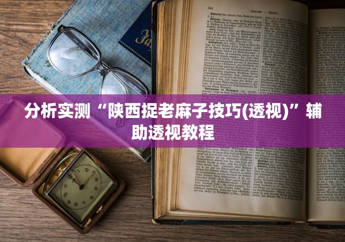 分析实测“陕西捉老麻子技巧(透视)”辅助透视教程