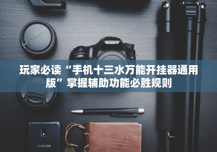 玩家必读“手机十三水万能开挂器通用版”掌握辅助功能必胜规则