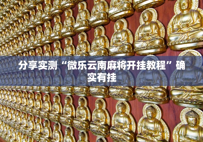 分享实测“微乐云南麻将开挂教程”确实有挂