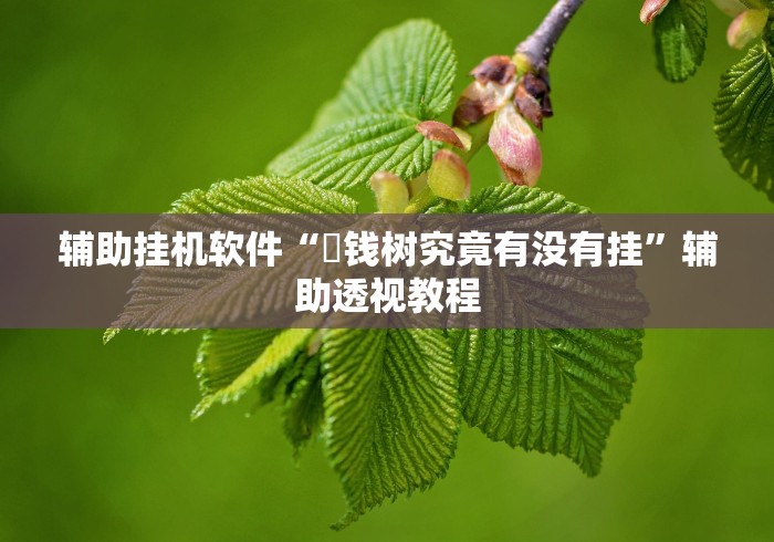 辅助挂机软件“揺钱树究竟有没有挂”辅助透视教程