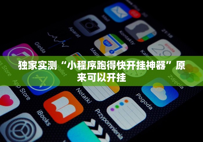 独家实测“小程序跑得快开挂神器”原来可以开挂