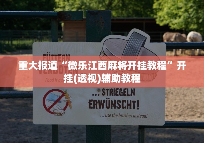 重大报道“微乐江西麻将开挂教程”开挂(透视)辅助教程