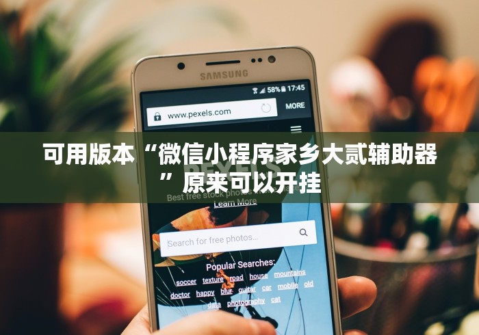可用版本“微信小程序家乡大贰辅助器	”原来可以开挂