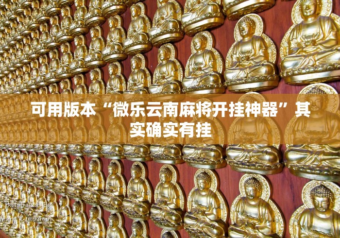 可用版本“微乐云南麻将开挂神器”其实确实有挂