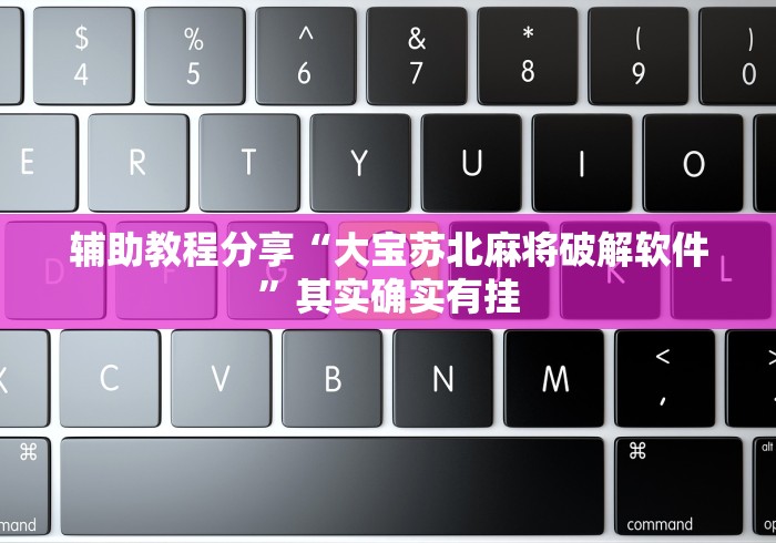 辅助教程分享“大宝苏北麻将破解软件”其实确实有挂