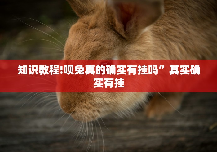 知识教程!呗兔真的确实有挂吗”其实确实有挂