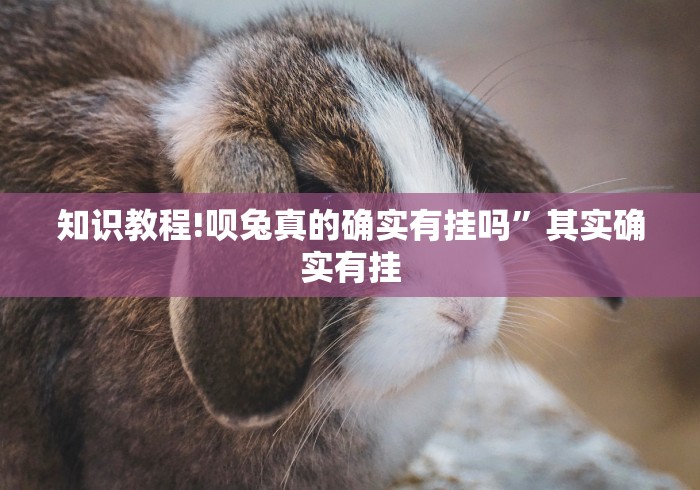 知识教程!呗兔真的确实有挂吗”其实确实有挂