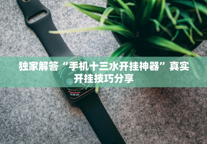 独家解答“手机十三水开挂神器”真实开挂技巧分享