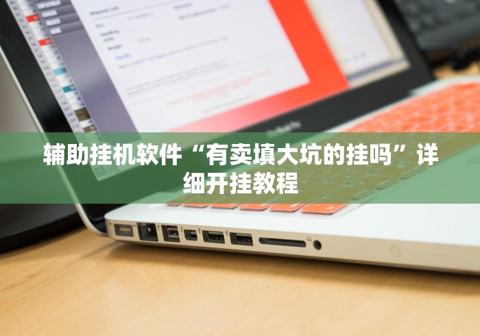 辅助挂机软件“有卖填大坑的挂吗	”详细开挂教程