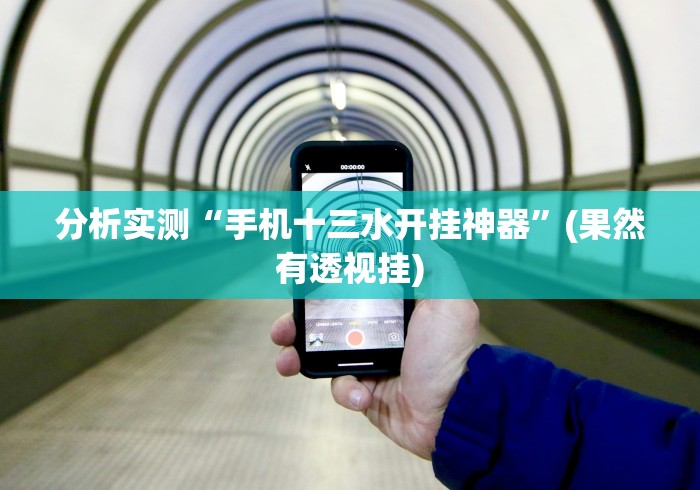 真实辅助“冠赢十三张怎么开挂”辅助透视教程