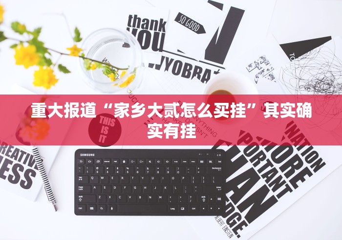 重大报道“家乡大贰怎么买挂”其实确实有挂