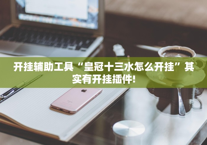 开挂辅助工具“皇冠十三水怎么开挂”其实有开挂插件!