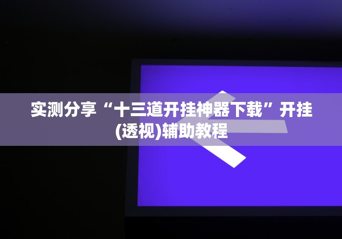 实测分享“十三道开挂神器下载”开挂(透视)辅助教程