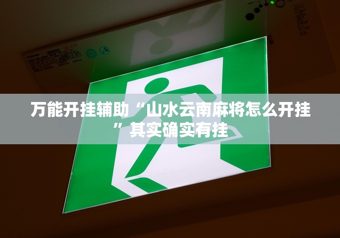万能开挂辅助“山水云南麻将怎么开挂”其实确实有挂