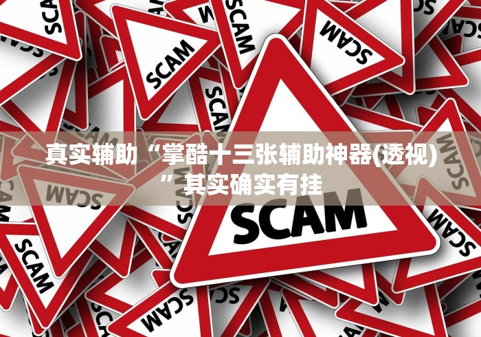 强力推荐“老友十三水辅助挂”开挂(透视)辅助教程