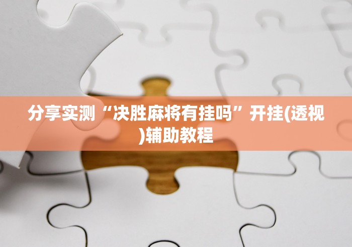 玩家攻略宝典“正宗乐平麻将开挂”(原来确实是有插件) 