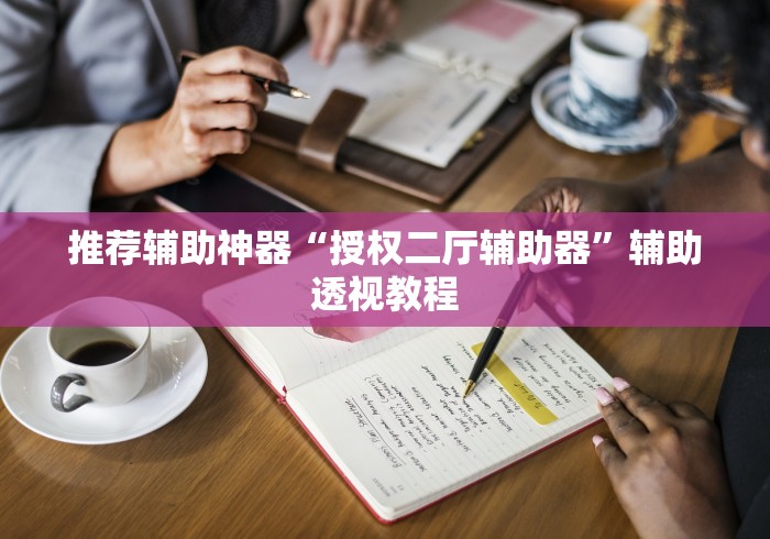 推荐辅助神器“授权二厅辅助器”辅助透视教程