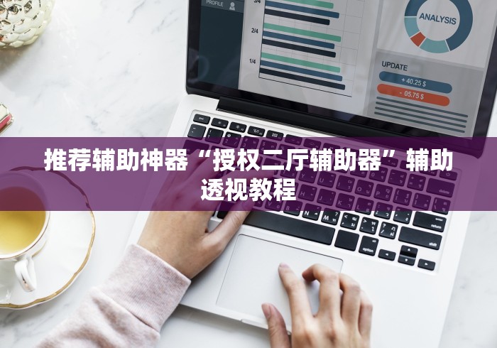 推荐辅助神器“授权二厅辅助器	”辅助透视教程