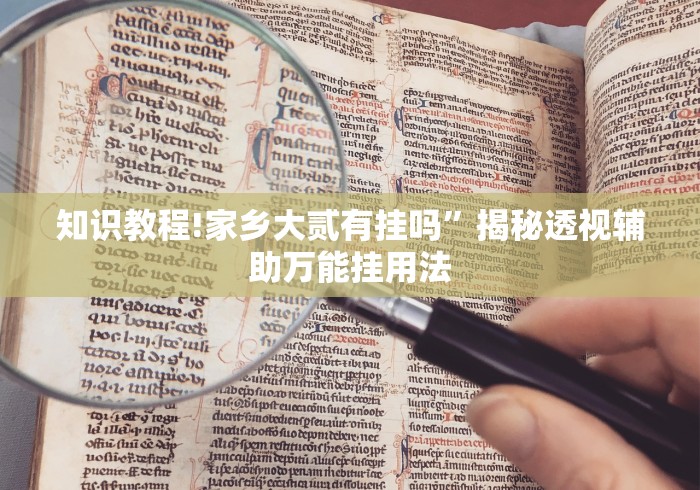 知识教程!家乡大贰有挂吗”揭秘透视辅助万能挂用法