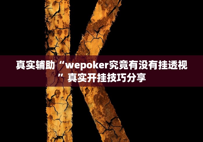 真实辅助“wepoker究竟有没有挂透视”真实开挂技巧分享
