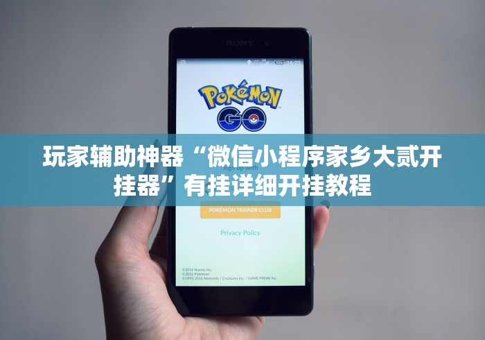 玩家辅助神器“微信小程序家乡大贰开挂器”有挂详细开挂教程