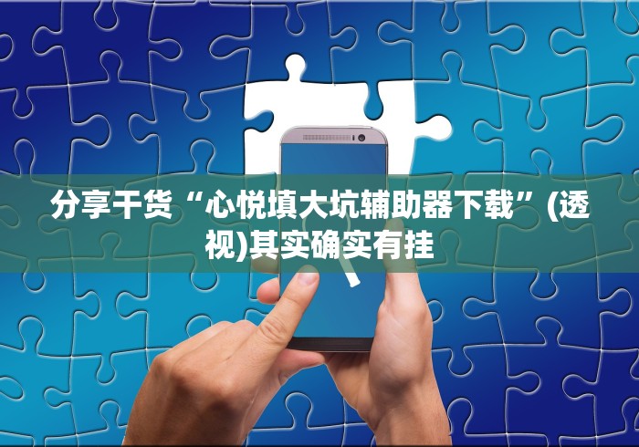 分享干货“心悦填大坑辅助器下载	”(透视)其实确实有挂