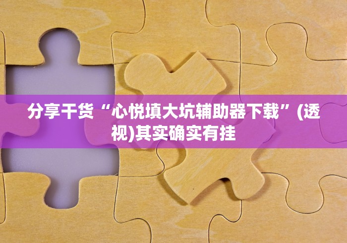 分享干货“心悦填大坑辅助器下载”(透视)其实确实有挂