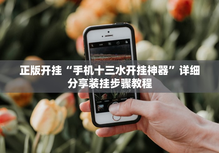 正版开挂“手机十三水开挂神器”详细分享装挂步骤教程