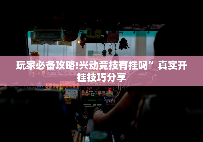 玩家必备攻略!兴动竞技有挂吗	”真实开挂技巧分享