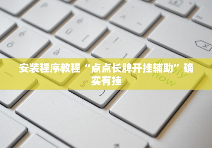 安装程序教程“点点长牌开挂辅助”确实有挂