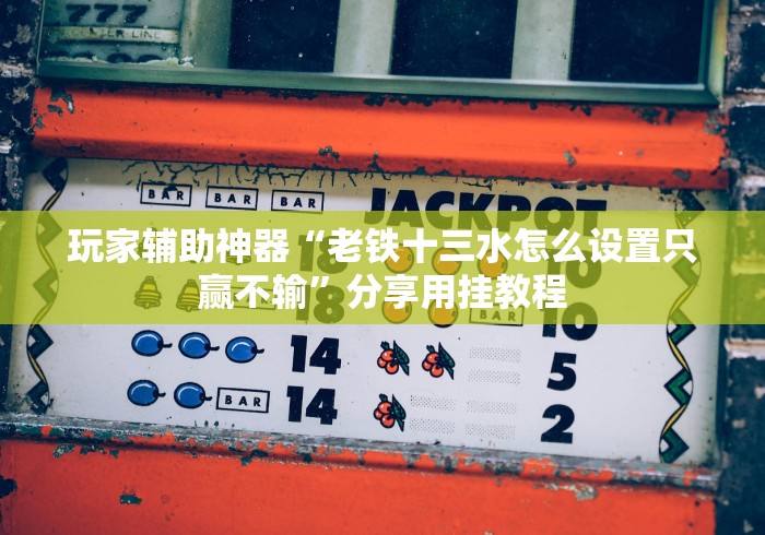 玩家辅助神器“老铁十三水怎么设置只赢不输”分享用挂教程