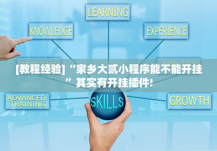 [教程经验]“家乡大贰小程序能不能开挂”其实有开挂插件!