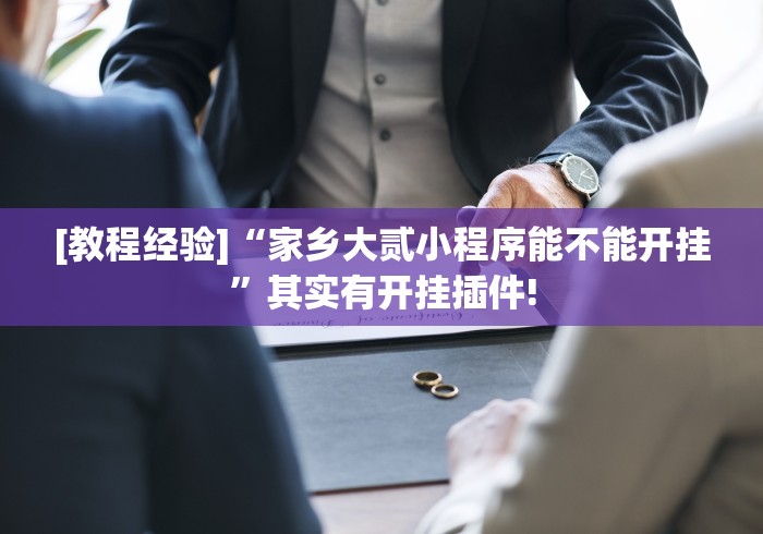 [教程经验]“家乡大贰小程序能不能开挂	”其实有开挂插件!