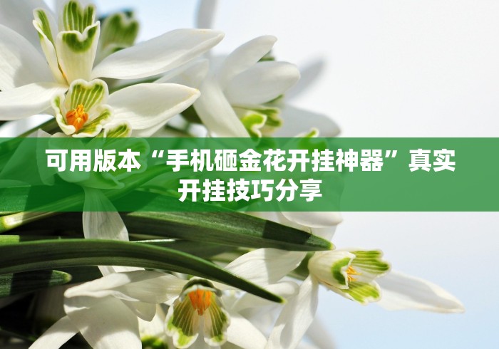 可用版本“手机砸金花开挂神器	”真实开挂技巧分享