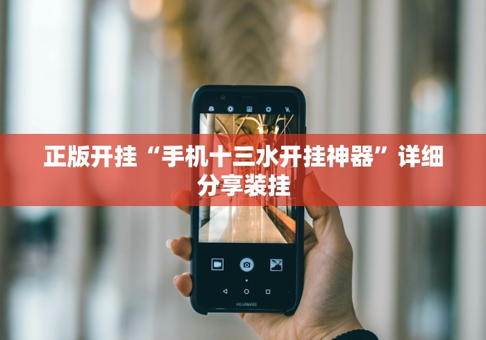 正版开挂“手机十三水开挂神器”详细分享装挂