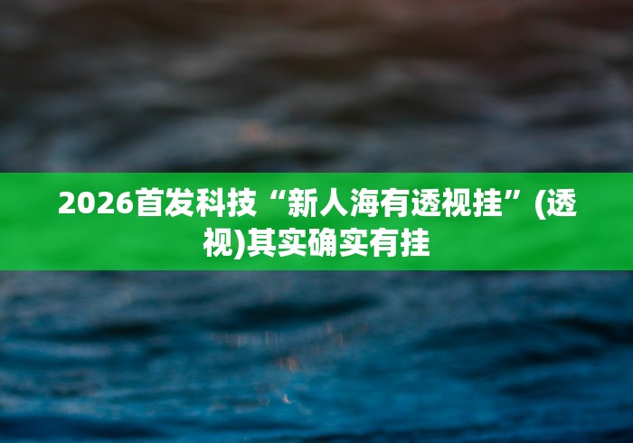 2026首发科技“新人海有透视挂”(透视)其实确实有挂