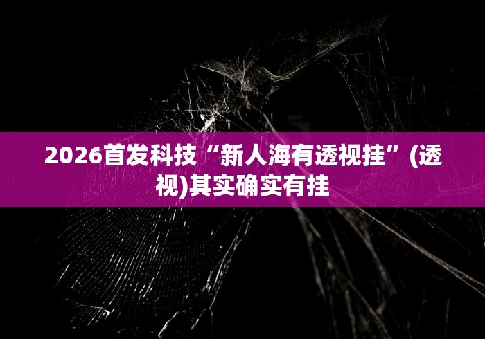 2026首发科技“新人海有透视挂”(透视)其实确实有挂