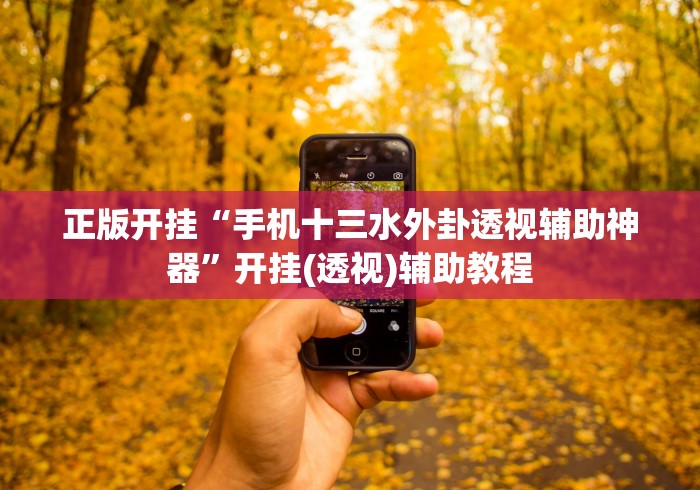 正版开挂“手机十三水外卦透视辅助神器	”开挂(透视)辅助教程